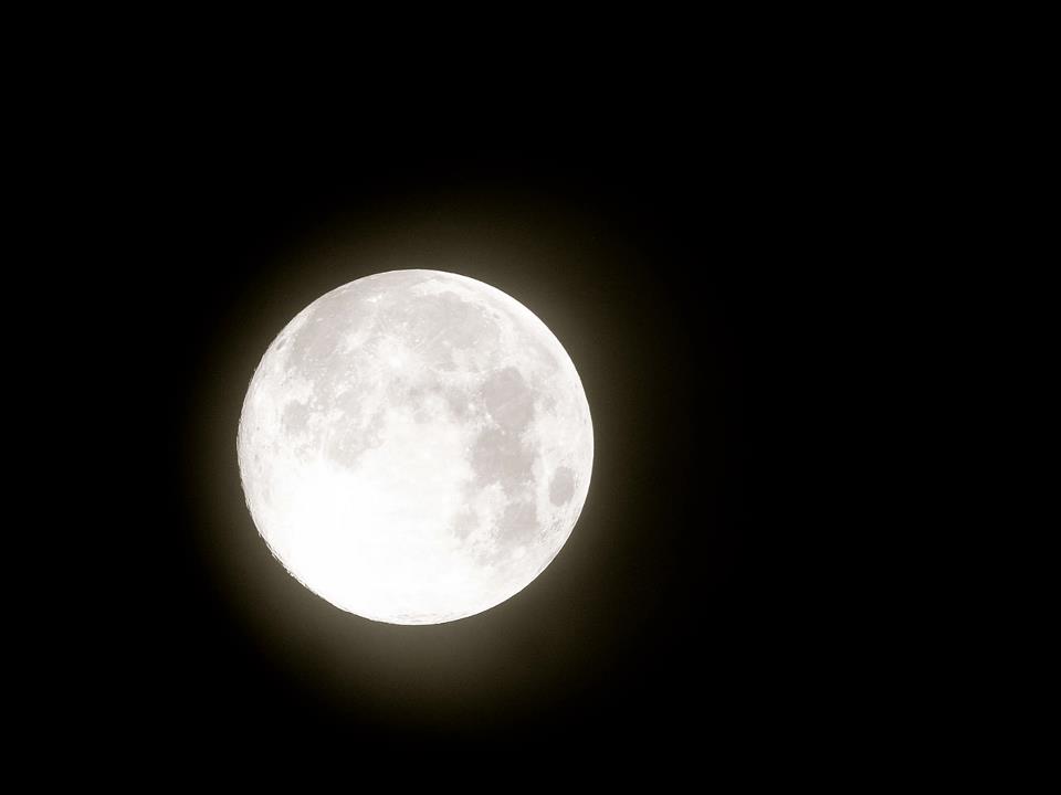 night
