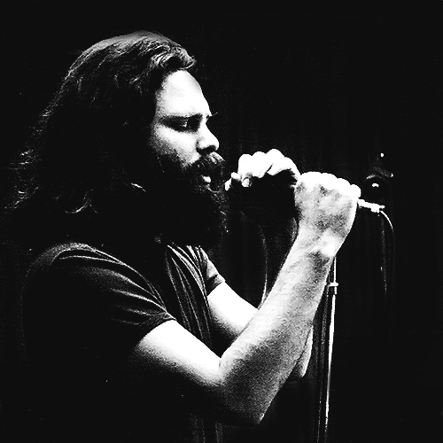morrison