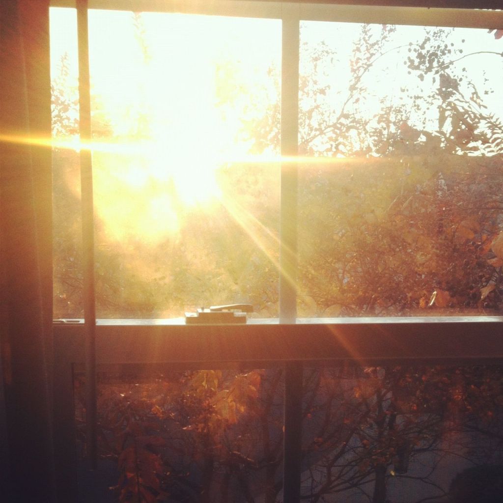early morning