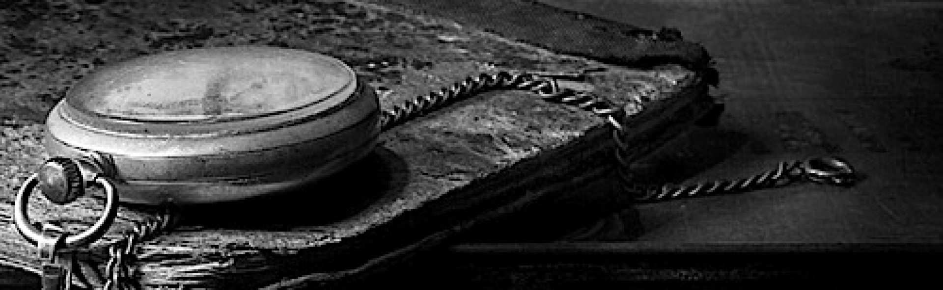 cropped-watchbook.jpg