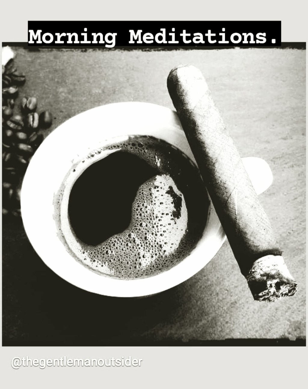 Morning Meditations 3 ~ The&nbsp;Fly
