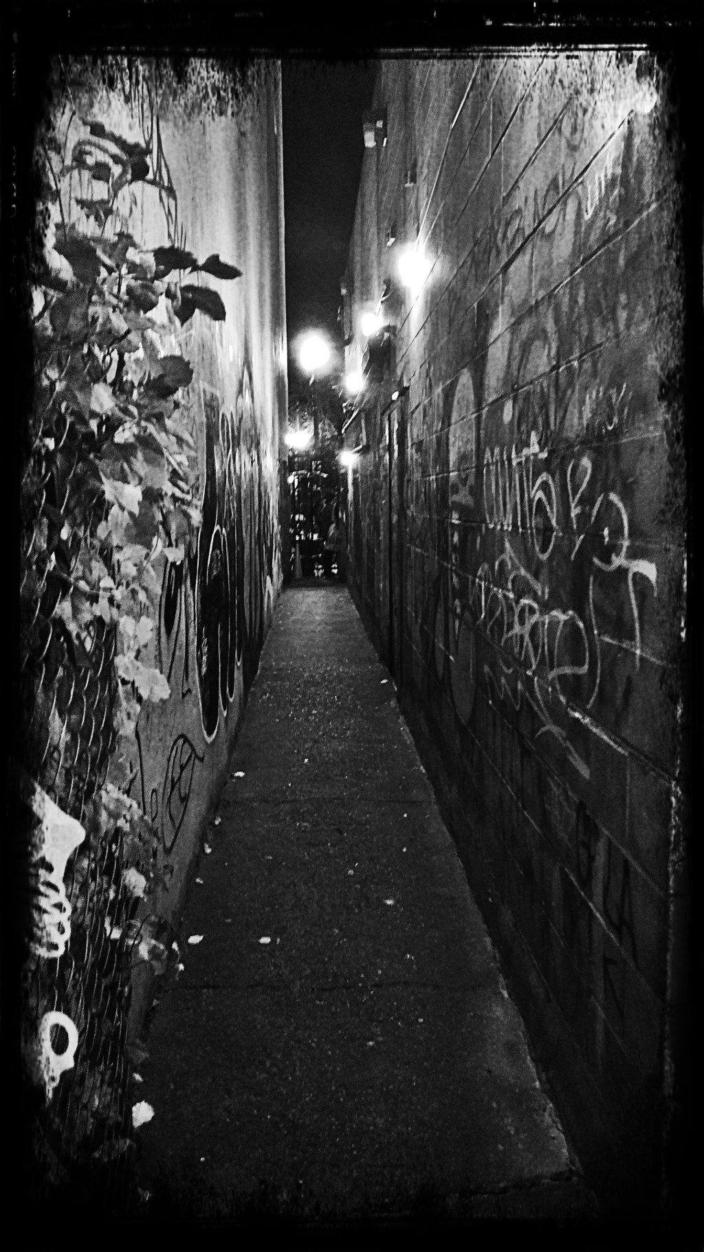 Black Noise * R.M.&nbsp;Engelhardt